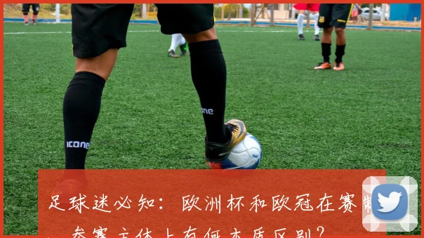 足球迷必知：欧洲杯和欧冠在赛制、参赛主体上有何本质区别？