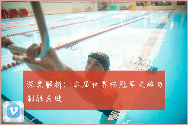 深度解析：本届世界杯冠军之路与制胜关键