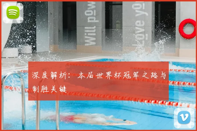 深度解析：本届世界杯冠军之路与制胜关键