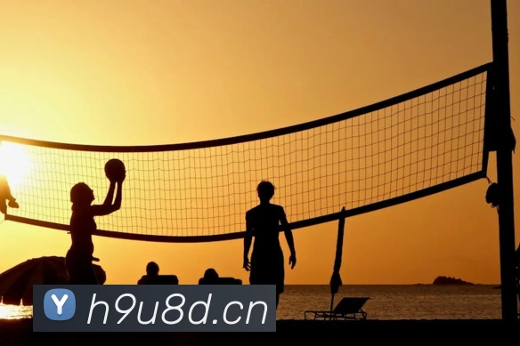 App Interface Preview